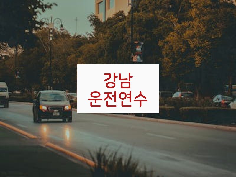 강남운전연수 후기