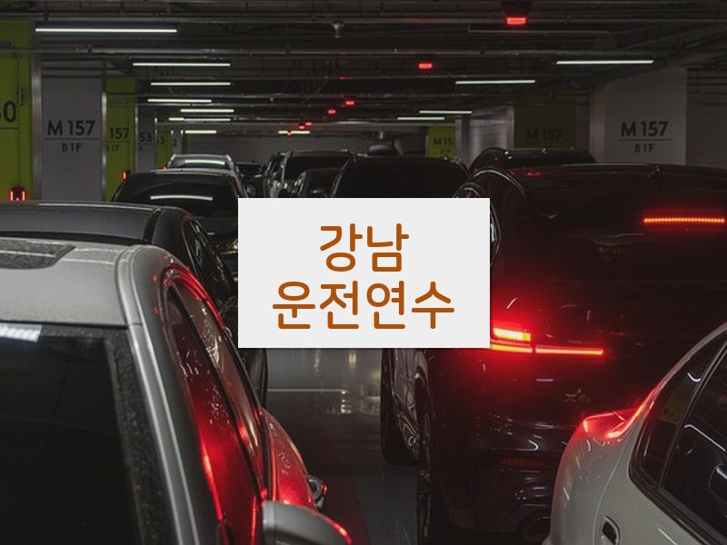 강남운전연수 후기