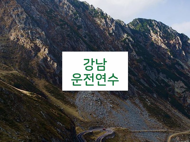 강남운전연수 후기