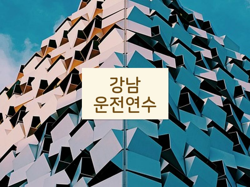 강남운전연수 후기