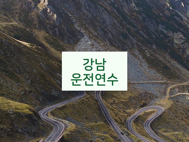 강남운전연수 후기