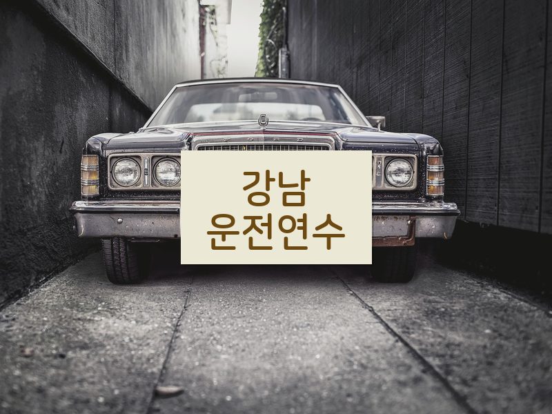 강남운전연수 후기