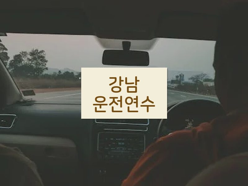 강남운전연수 후기
