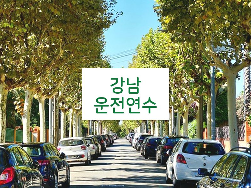 강남운전연수 후기