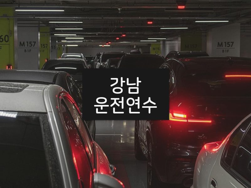 강남운전연수 후기
