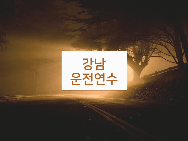 강남운전연수 후기