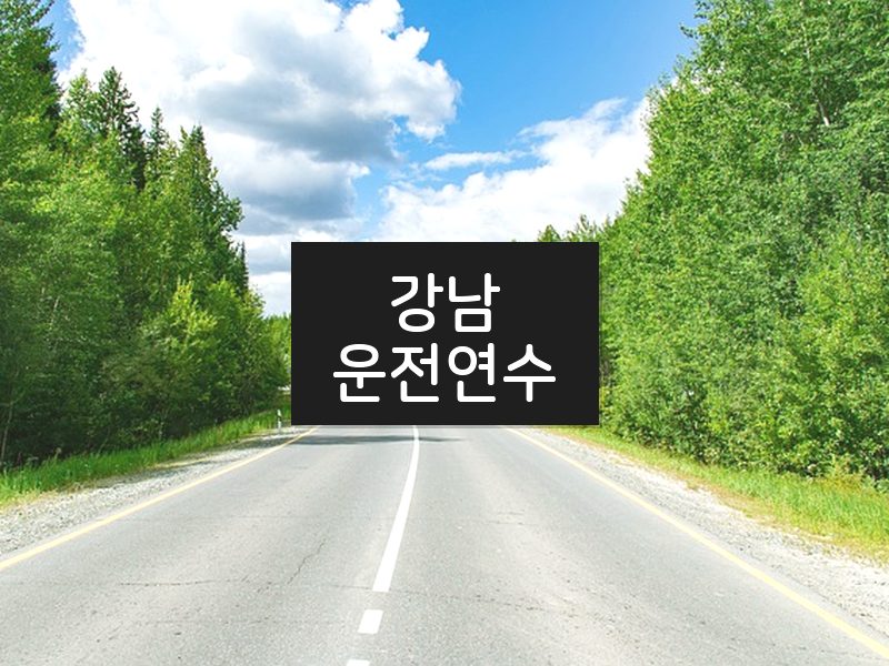 강남운전연수 후기