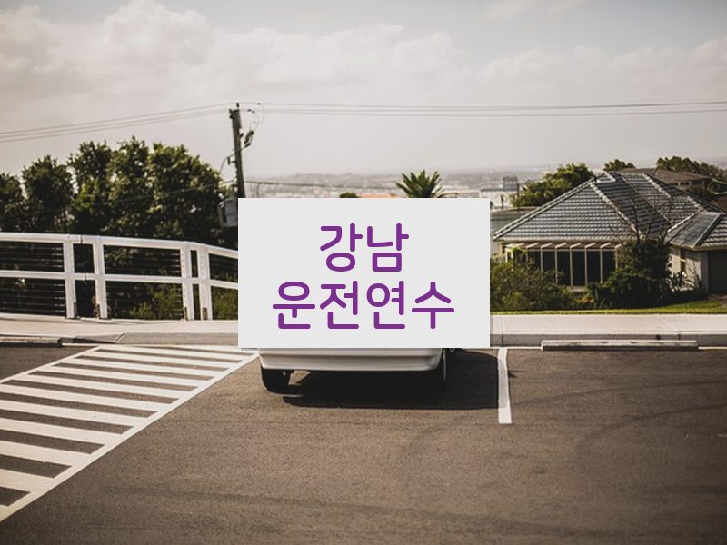 강남운전연수 후기