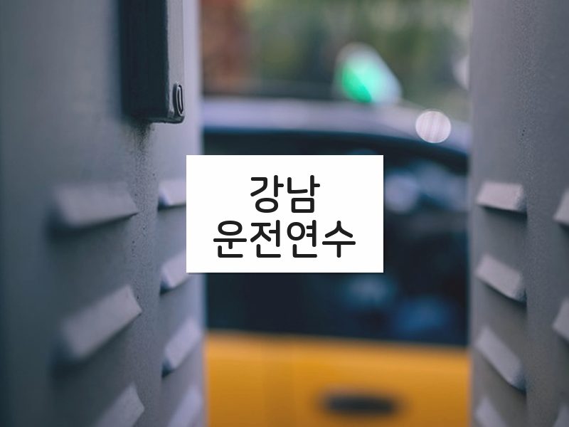 강남운전연수 후기