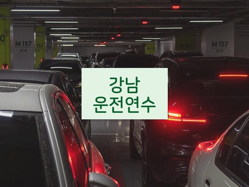 강남운전연수 후기