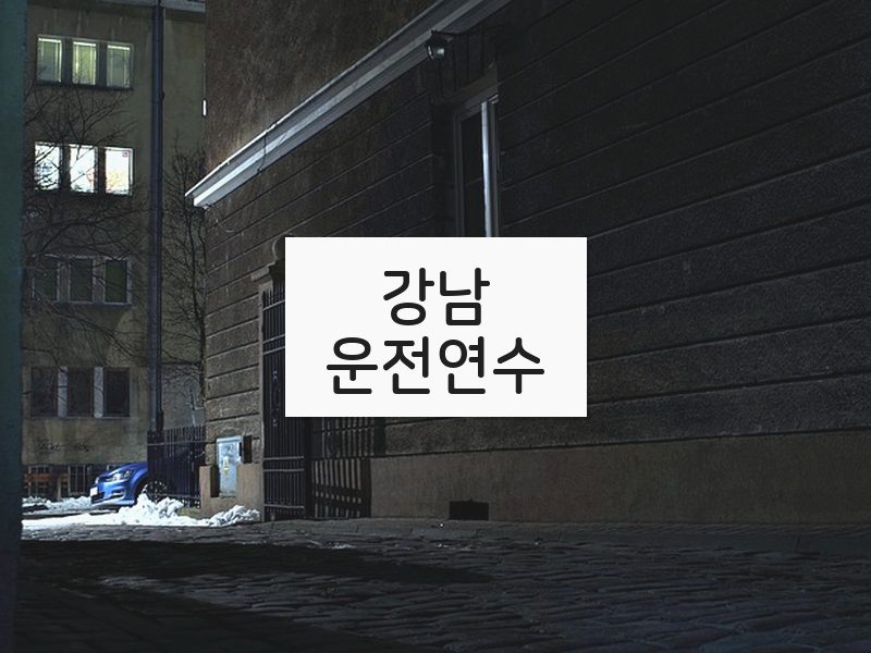 강남운전연수 후기
