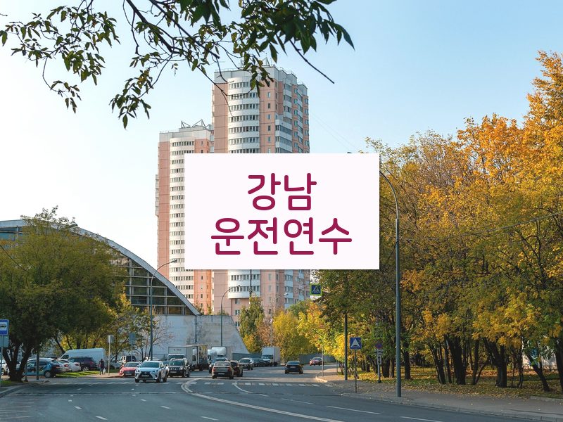 강남운전연수 후기