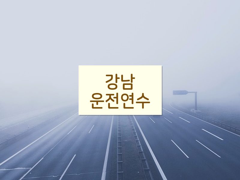 강남운전연수 후기