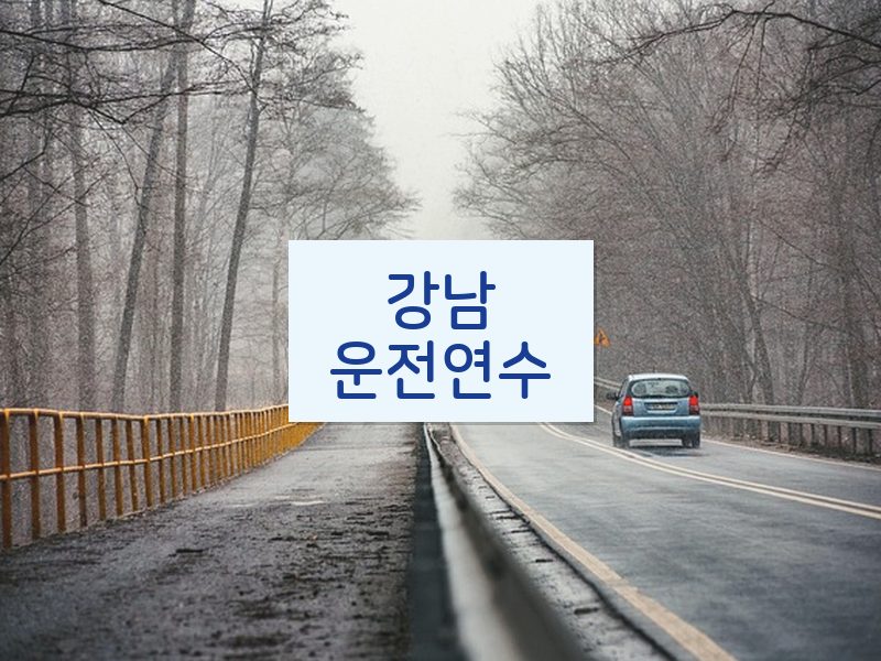 강남운전연수 후기