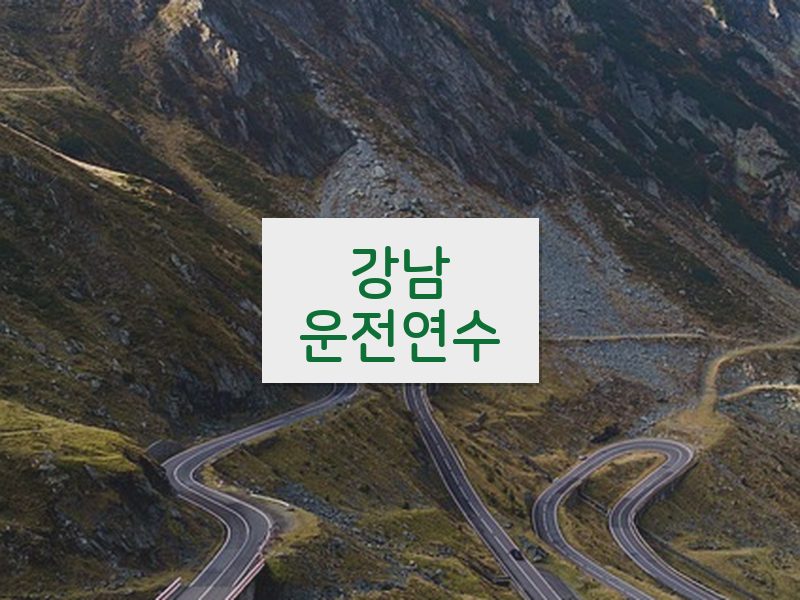 강남운전연수 후기