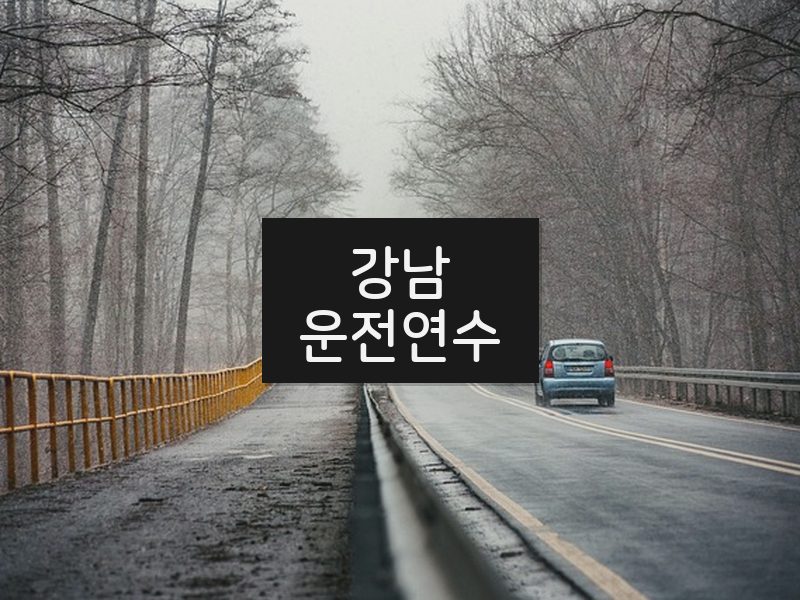 강남운전연수 후기