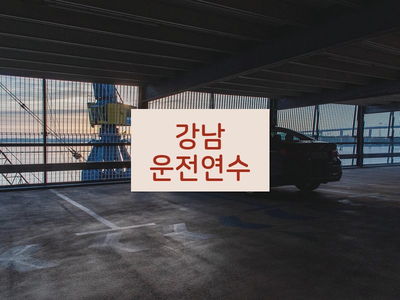 강남운전연수 후기