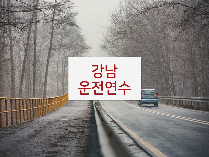 강남운전연수 후기