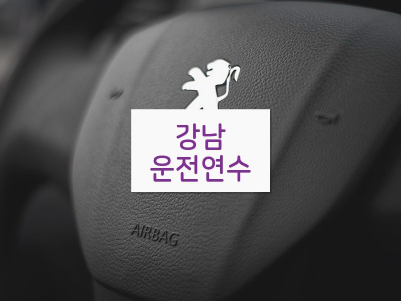 강남운전연수 후기