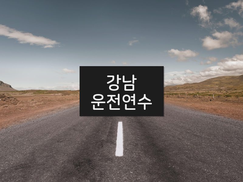 강남운전연수 후기