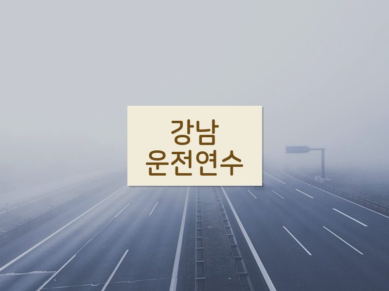 강남운전연수 후기
