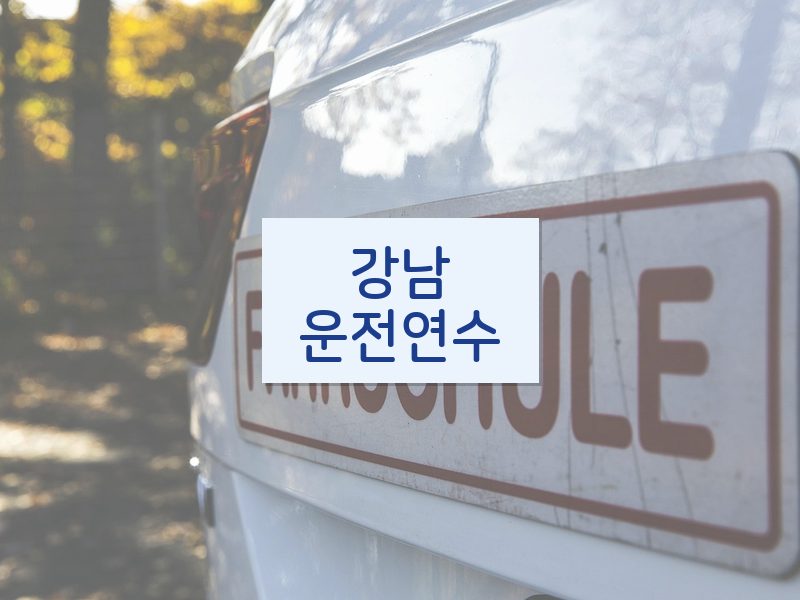강남운전연수 후기