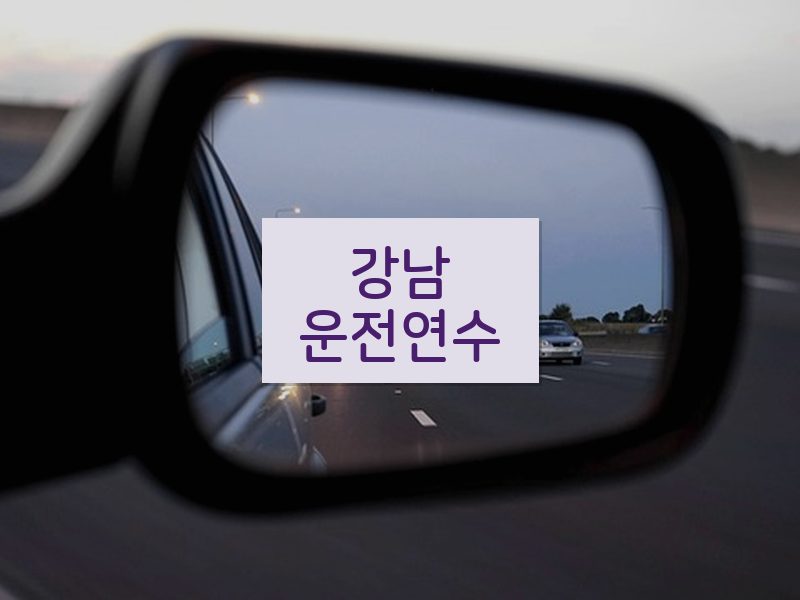 강남운전연수 후기