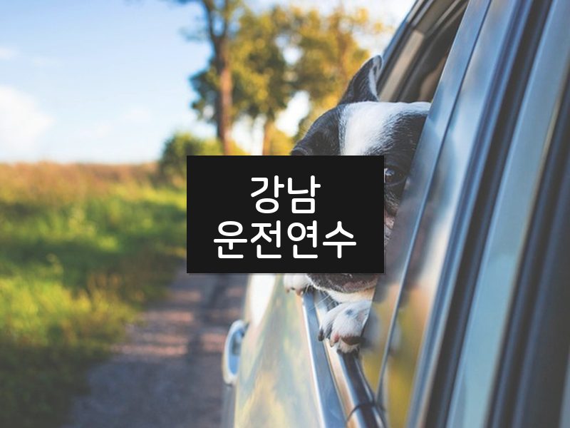 강남운전연수 후기
