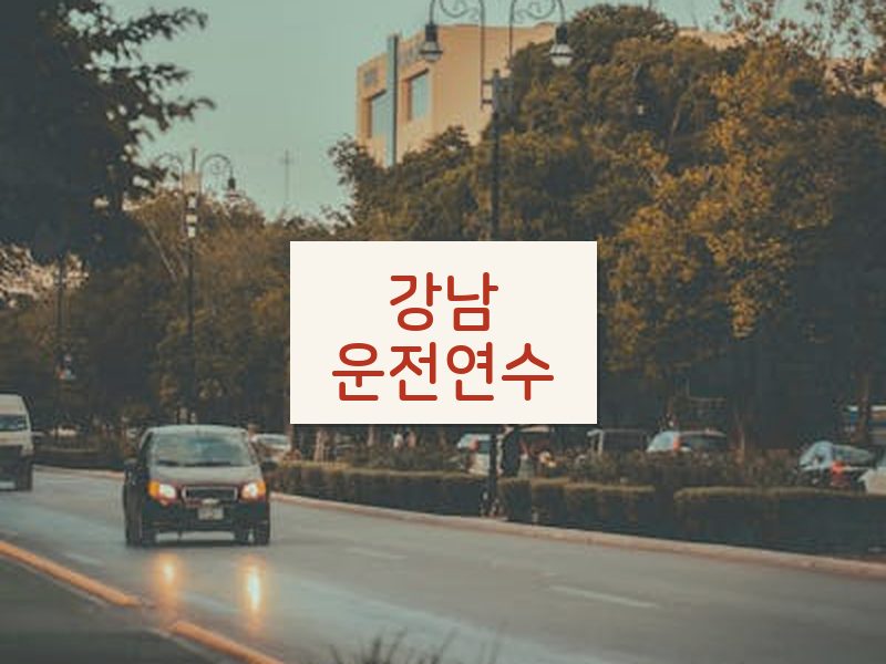강남운전연수 후기