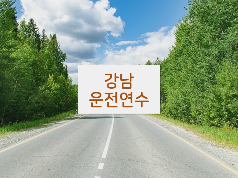 강남운전연수 후기