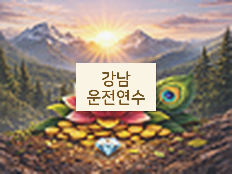 강남운전연수 후기