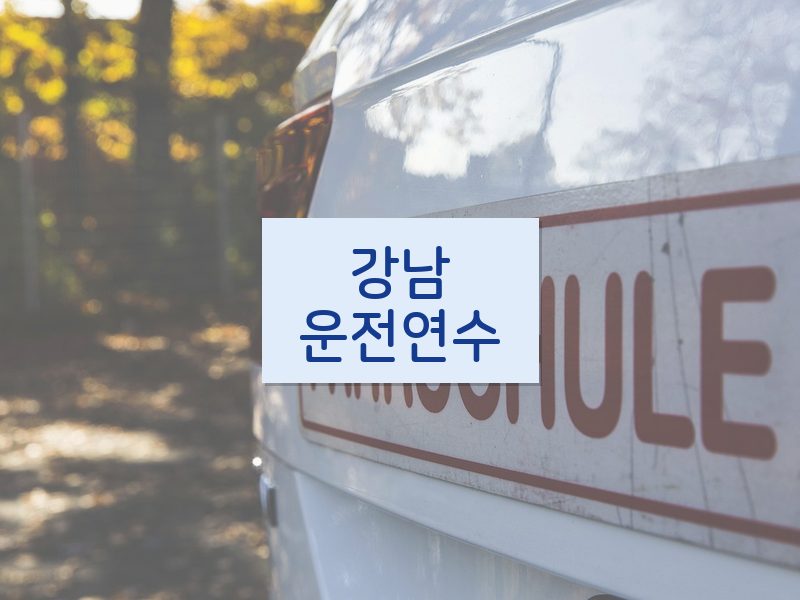 강남운전연수 후기