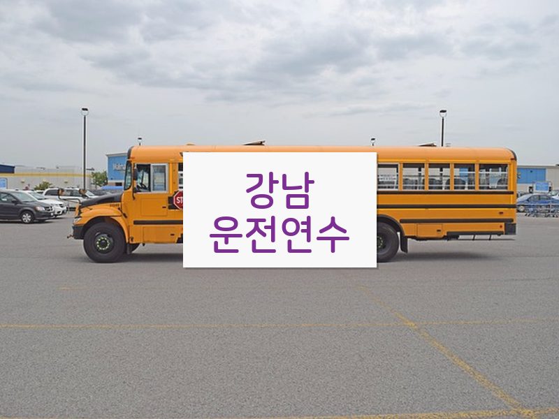 강남운전연수 후기