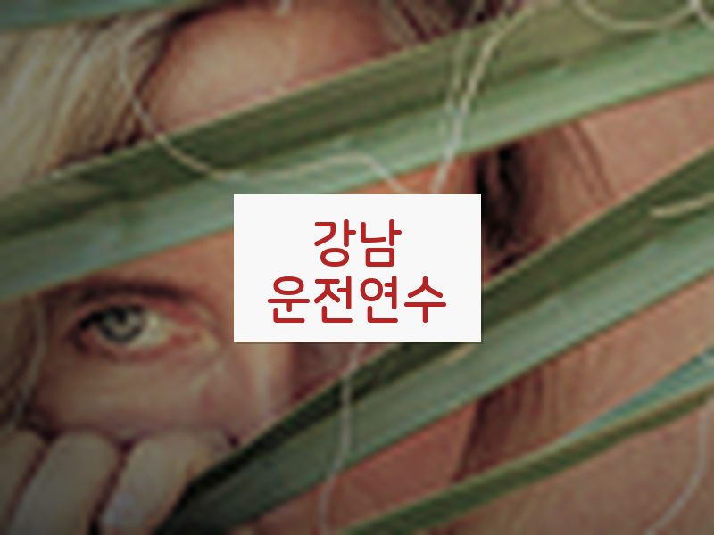 강남운전연수 후기