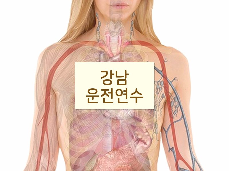 강남운전연수 후기
