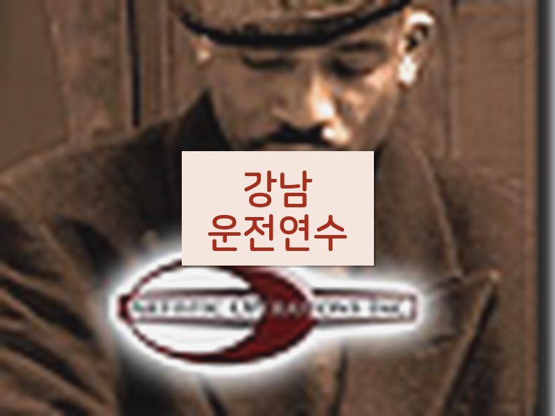 강남운전연수 후기