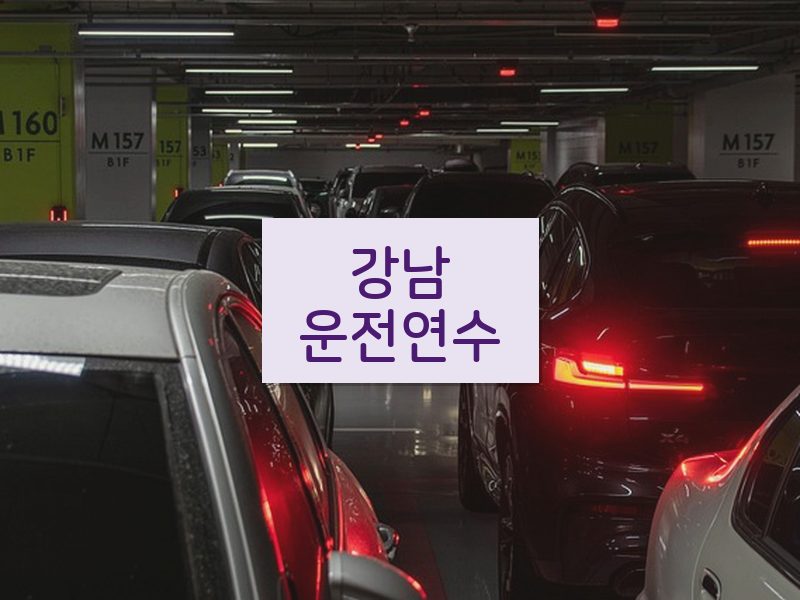 강남운전연수 후기
