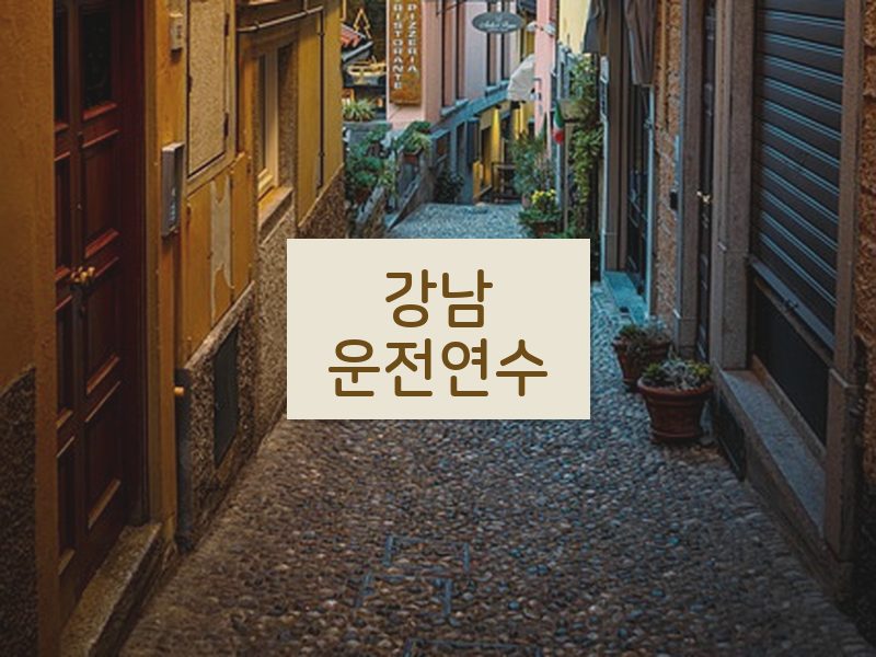 강남운전연수 후기