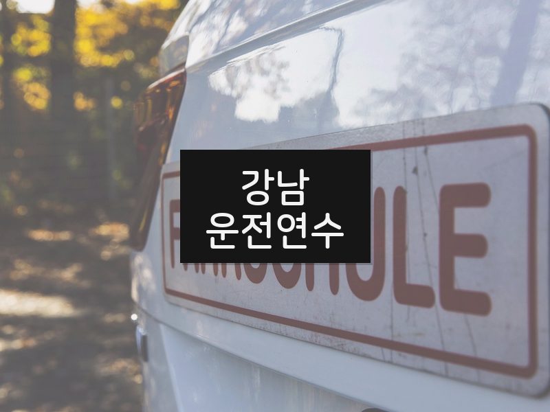 강남운전연수 후기