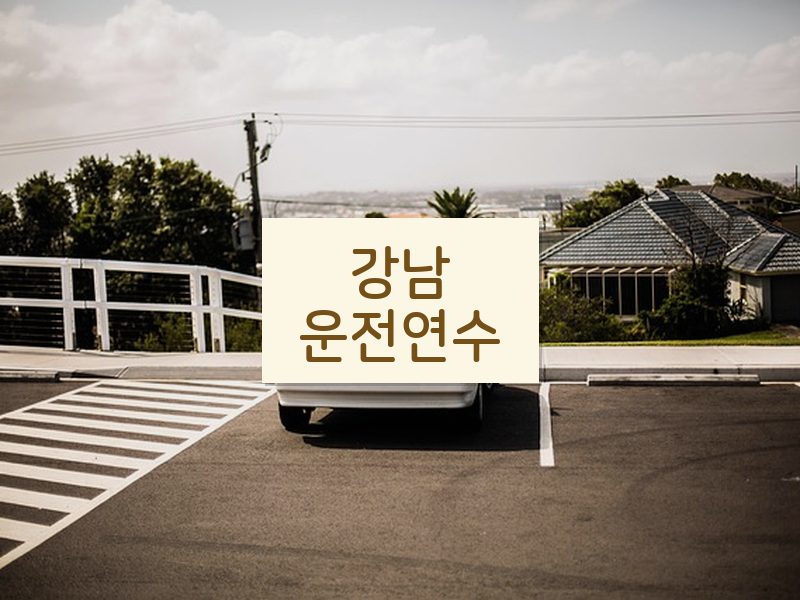 강남운전연수 후기