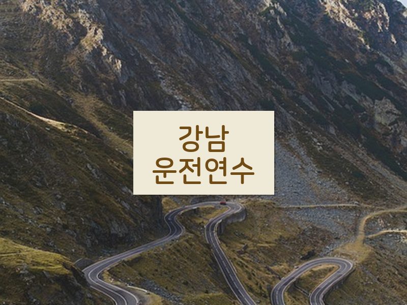 강남운전연수 후기