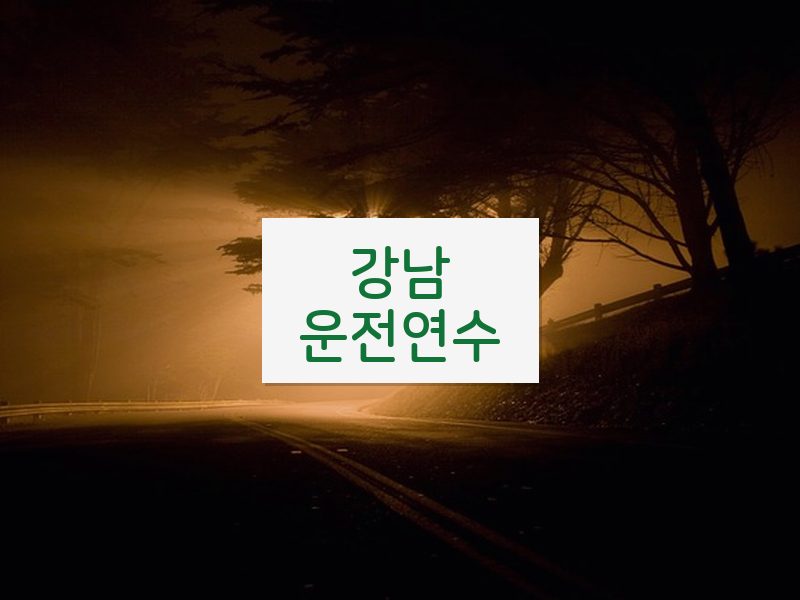 강남운전연수 후기