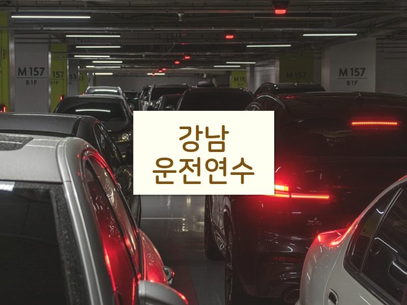 강남운전연수 후기