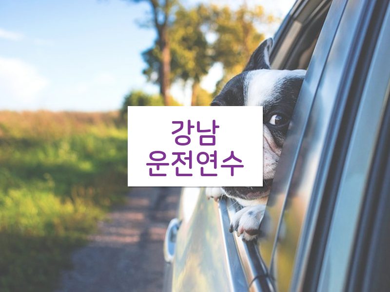 강남운전연수 후기