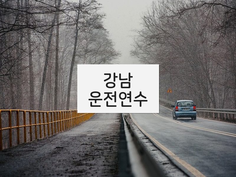 강남운전연수 후기