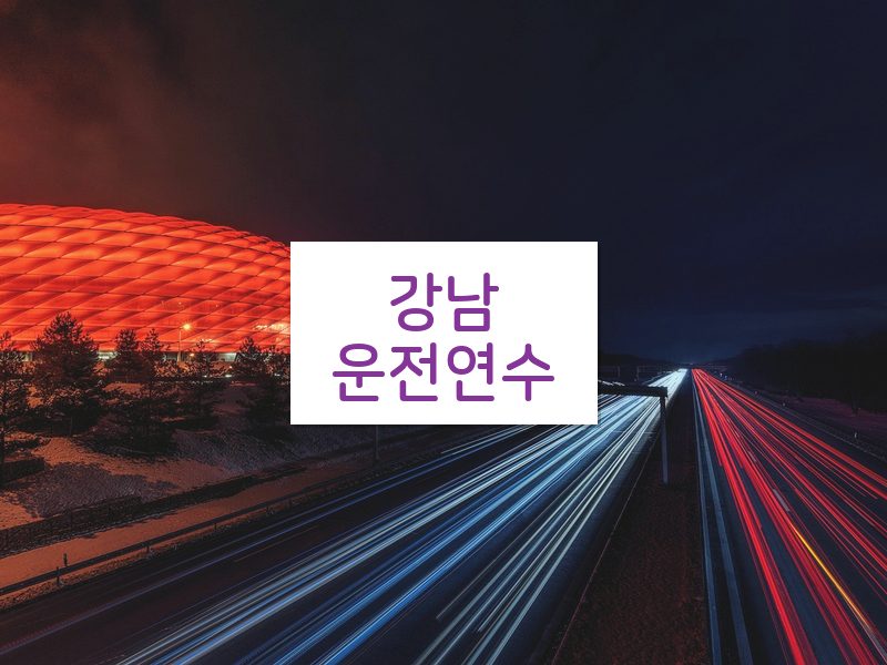강남운전연수 후기