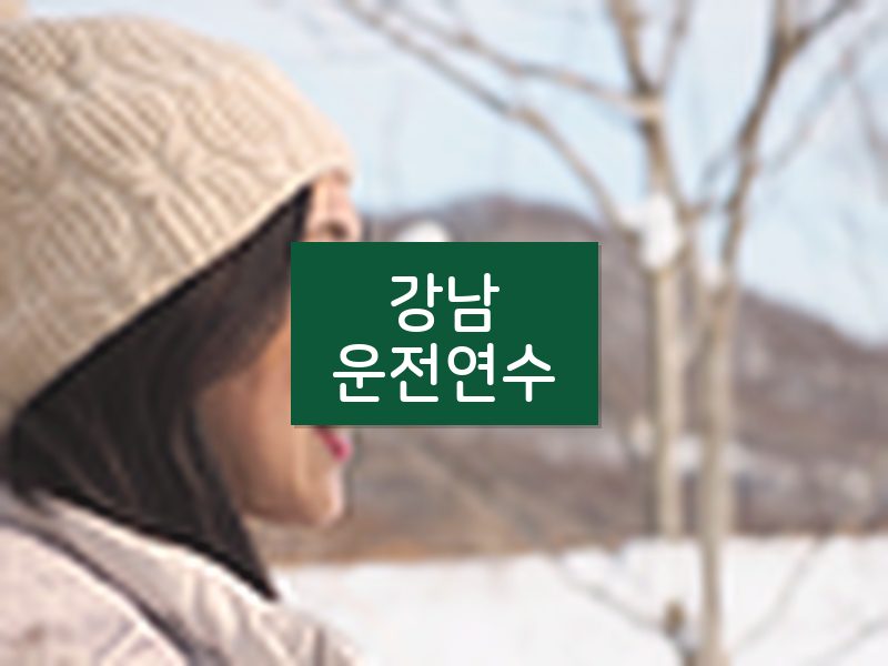강남운전연수 후기