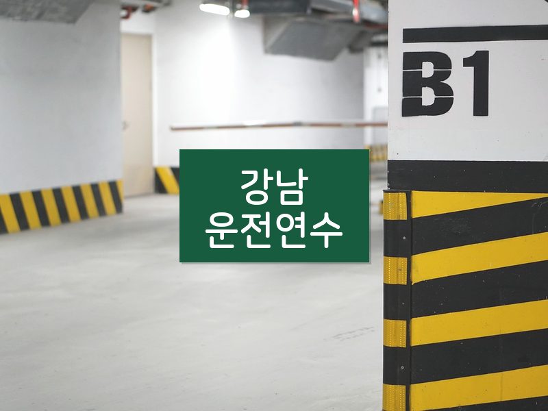 강남운전연수 후기