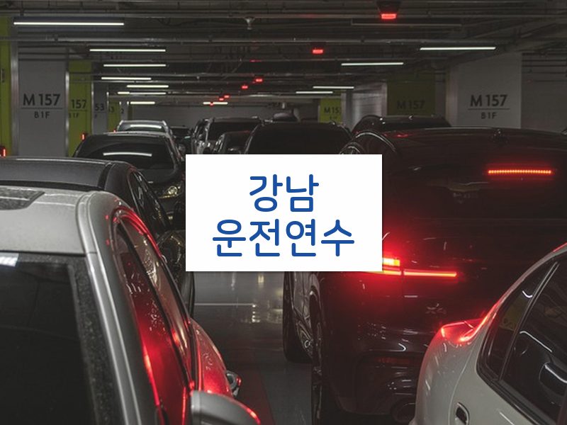 강남운전연수 후기