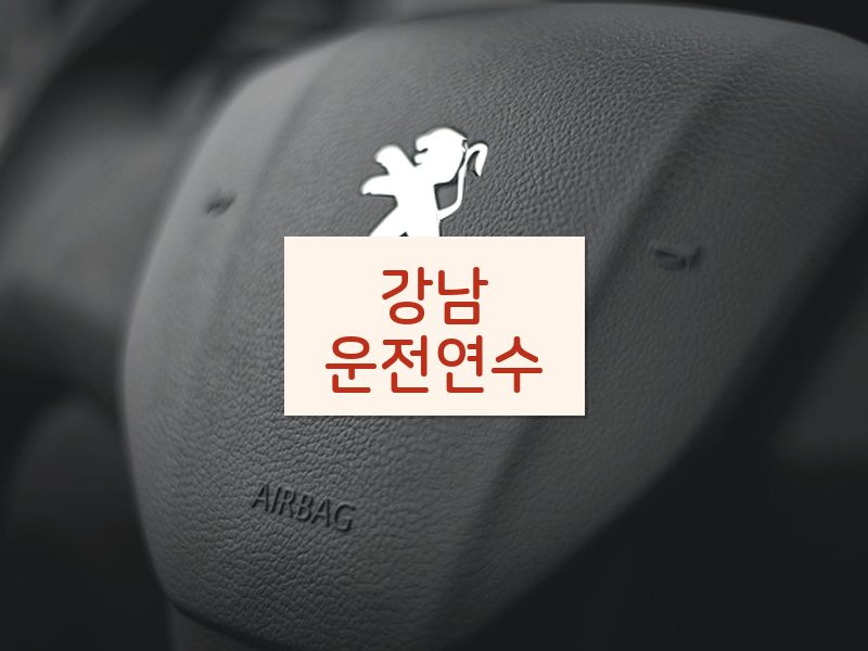 강남운전연수 후기